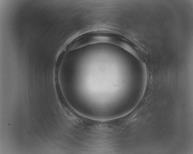 X0000075410244200609151854
