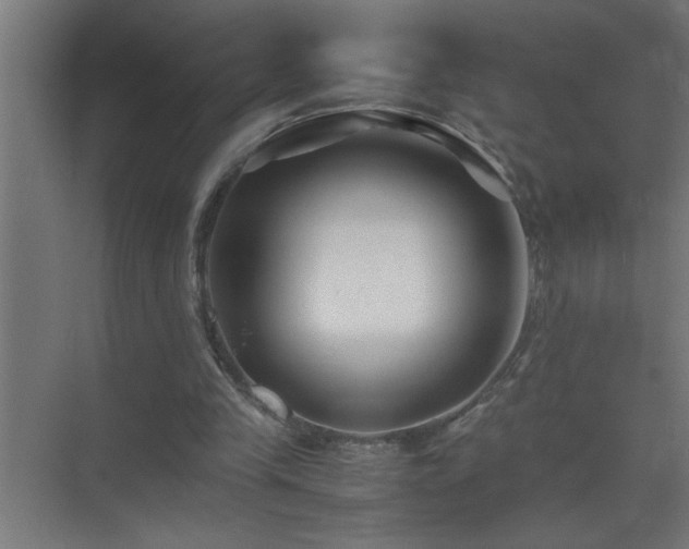 X0000075410245200609151854