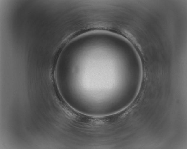 X0000075410249200609151854