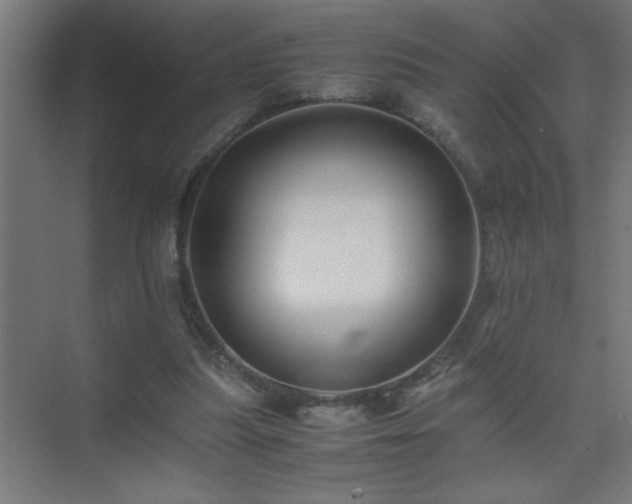 X0000075410251200609151854