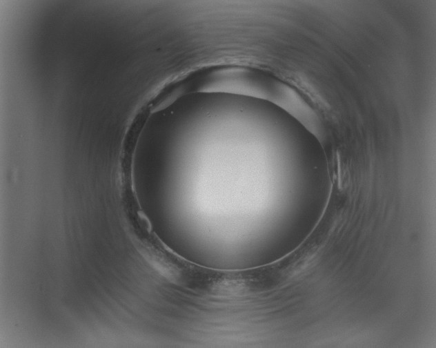 X0000075410252200609151854