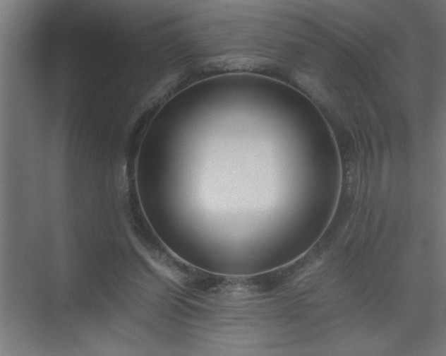 X0000075410254200609151854