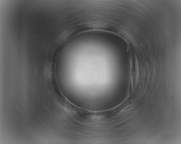 X0000075410255200609151854