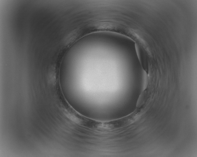 X0000075410261200609151854