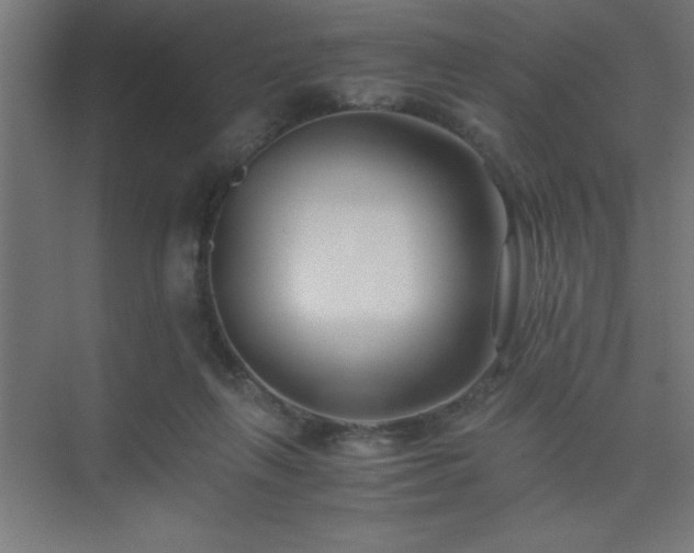 X0000075410263200609151854