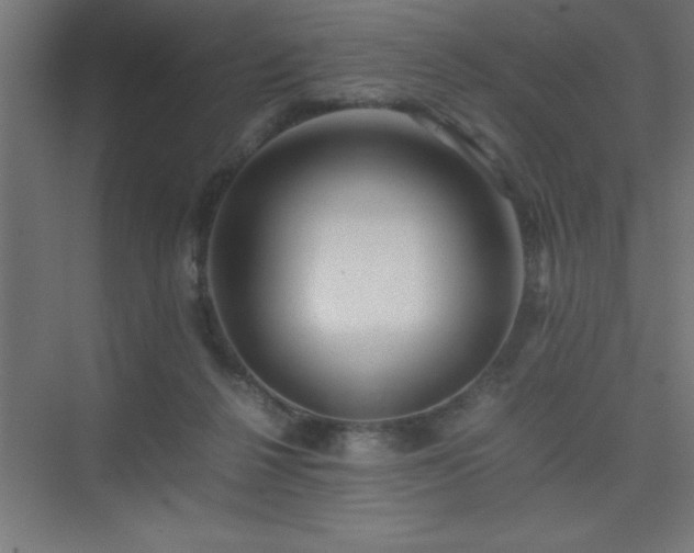 X0000075410264200609151854