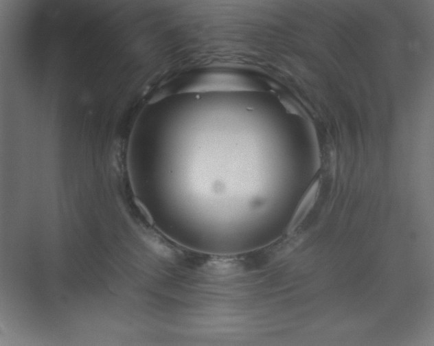X0000075410280200609151855