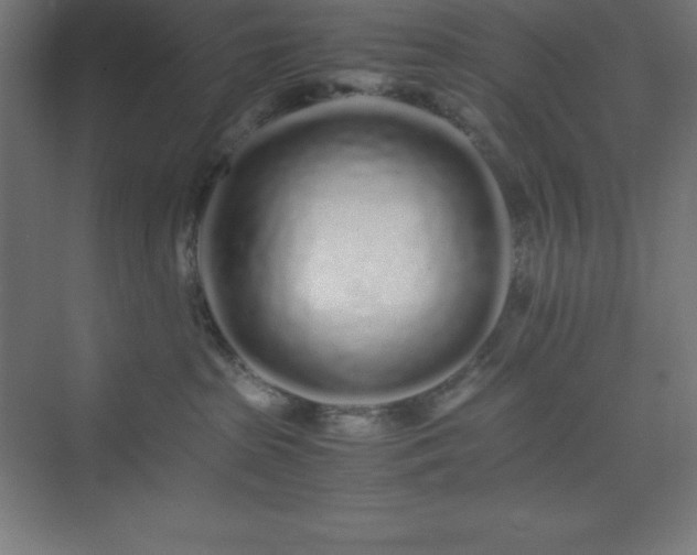X0000075410285200609151855