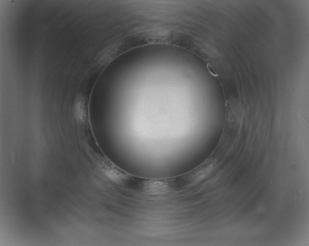 X0000075410287200609151855