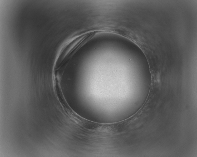 X0000075410294200609151854