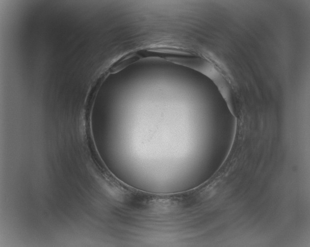 X0000075410298200609151854