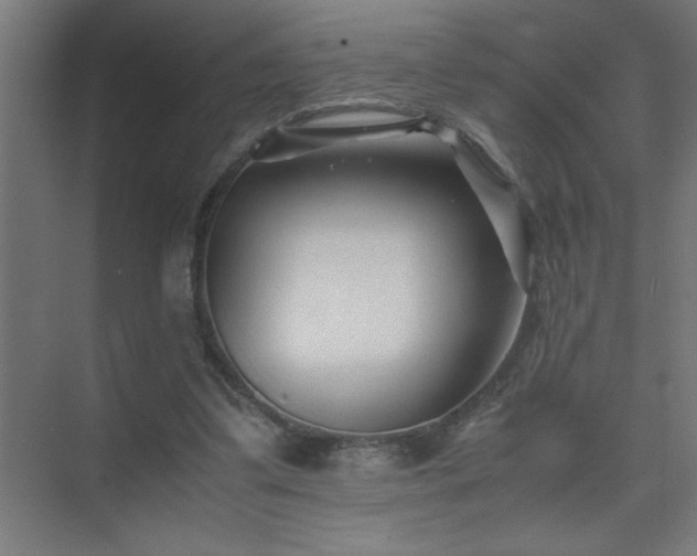 X0000075410299200609151854