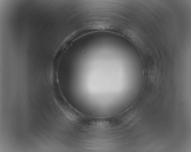 X0000075410304200609151854