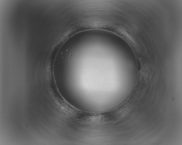 X0000075410306200609151854