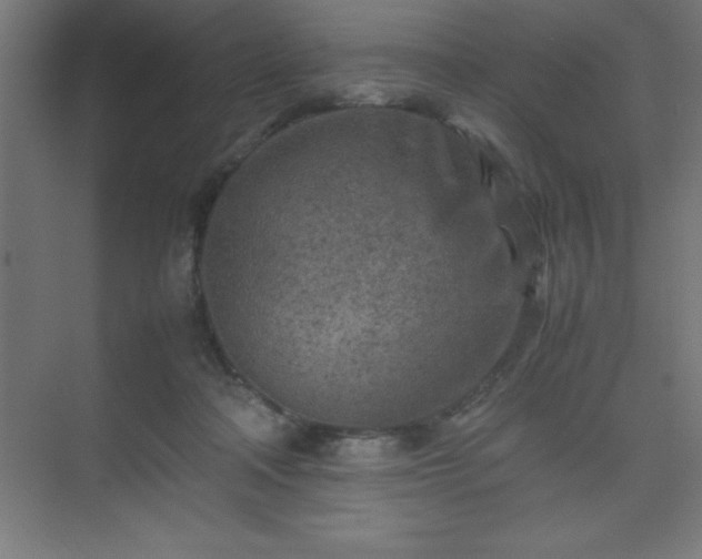 X0000075410314200609151854