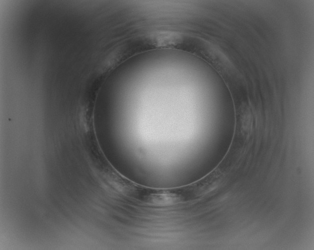 X0000075410316200609151854