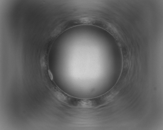 X0000075410317200609151854