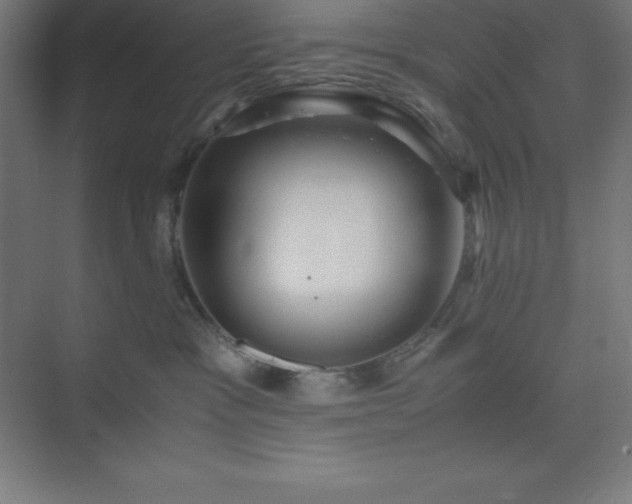X0000075410333200609151853