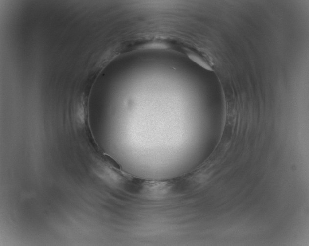 X0000075410334200609151853