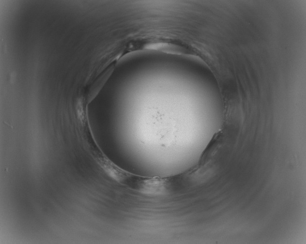 X0000075410335200609151853