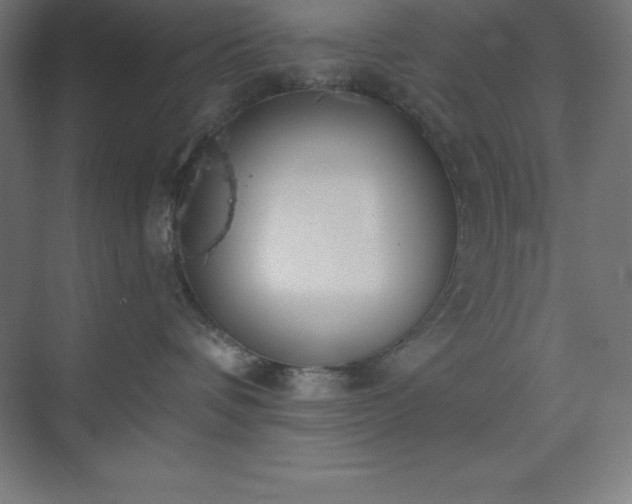 X0000075410336200609151853