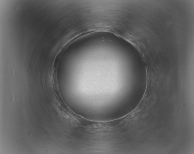 X0000075410338200609151852