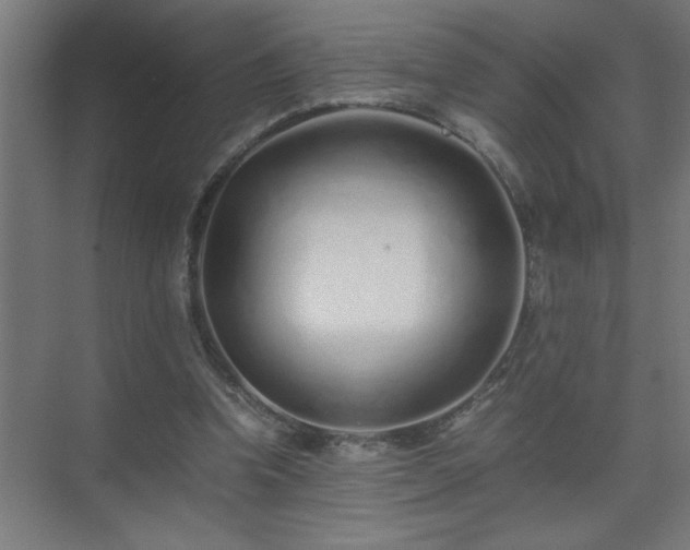 X0000075410346200609151853