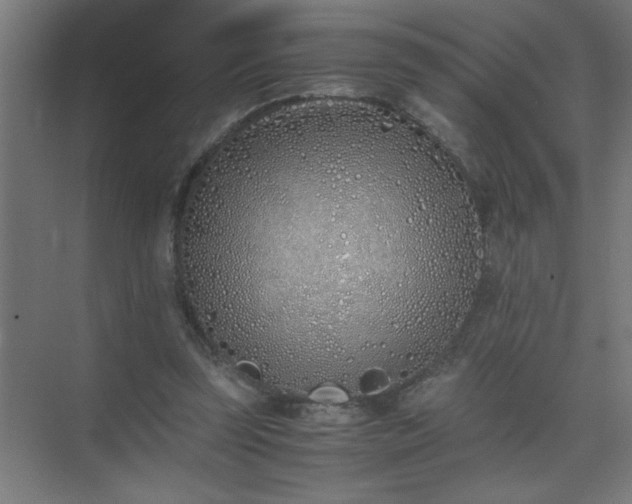 X0000075410347200609151853