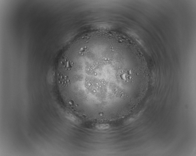 X0000075410355200609151853