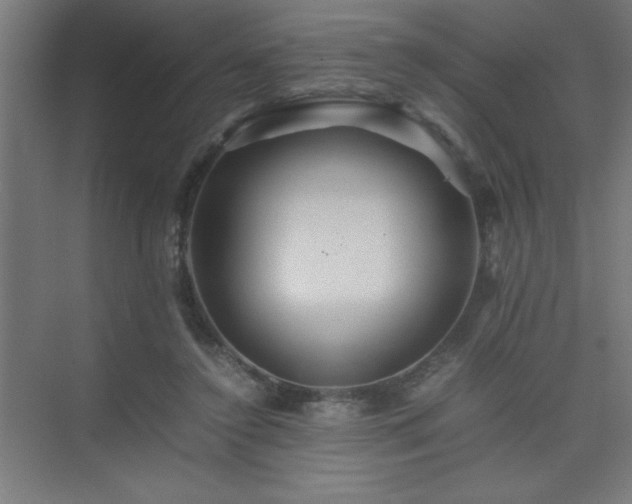 X0000075410356200609151853