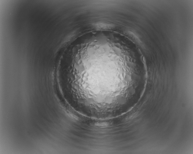 X0000075410357200609151853
