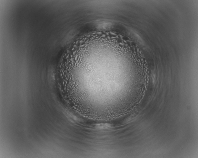 X0000075410363200609151853