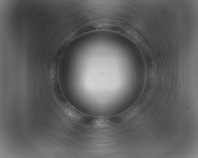 X0000075410372200609151853