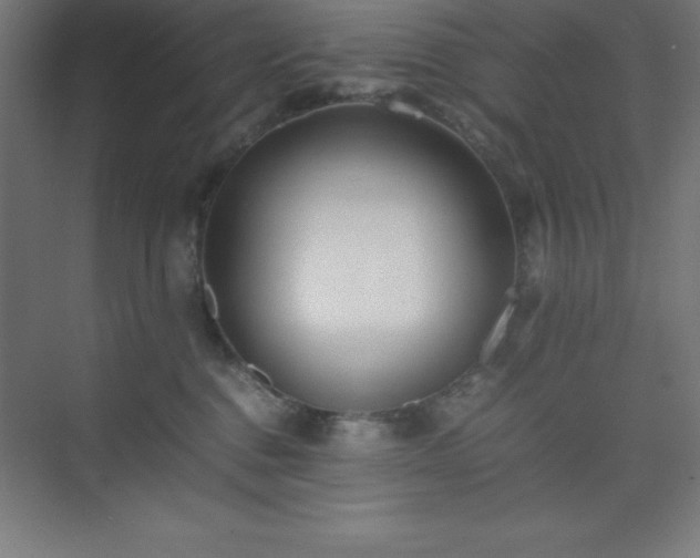 X0000075410376200609151853