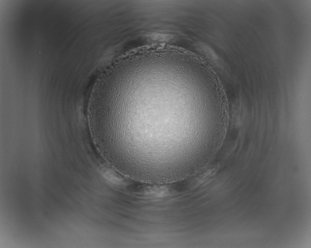 X0000075410377200609151853