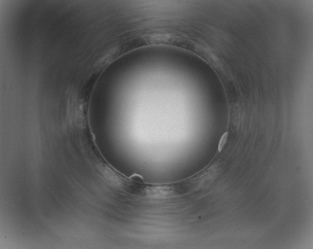 X0000075410378200609151853
