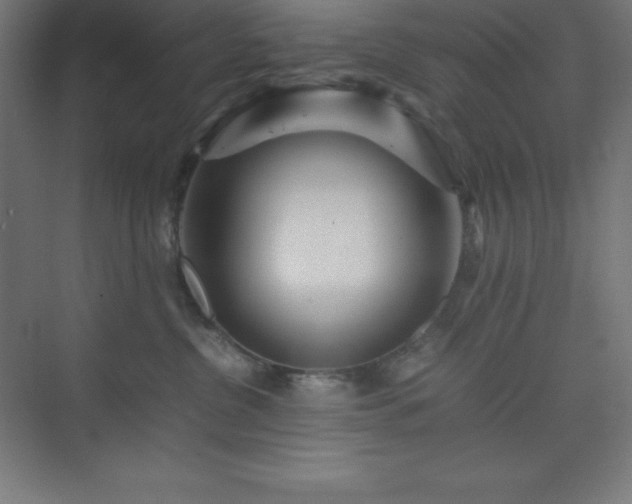 X0000075410380200609151853