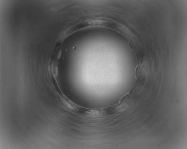 X0000075410381200609151853