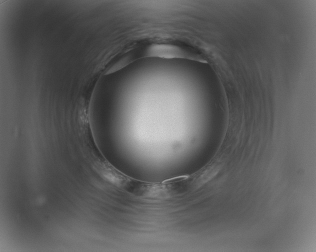 X0000075410384200609151853