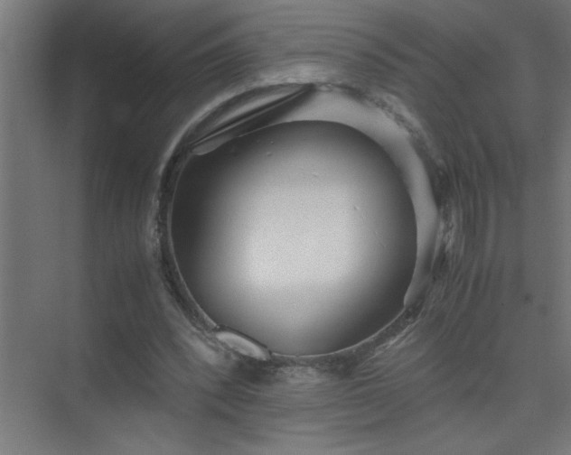X0000075410392200609151852