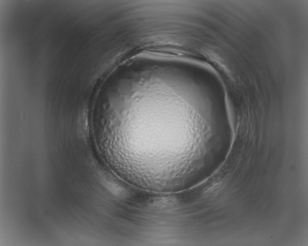 X0000075410398200609151852