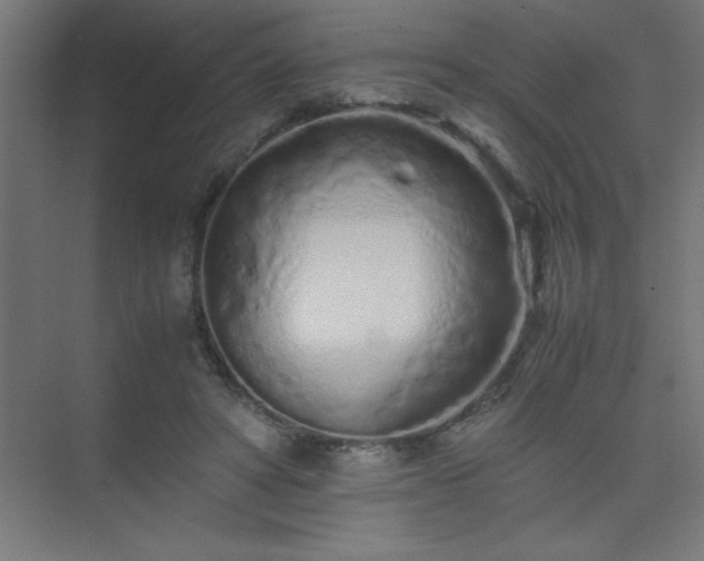 X0000075410402200609151852