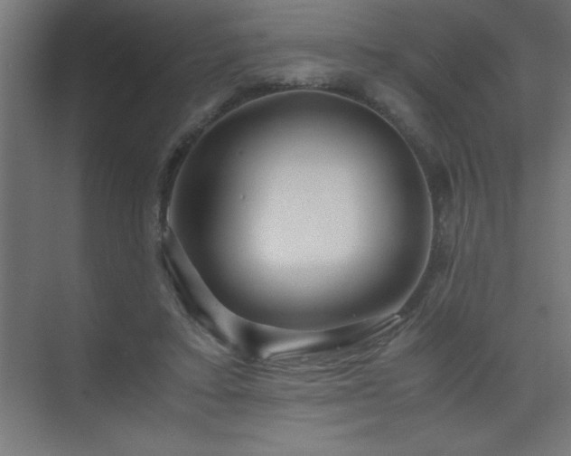 X0000075410403200609151852