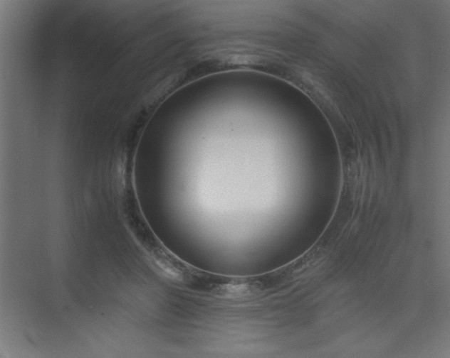 X0000075410406200609151852