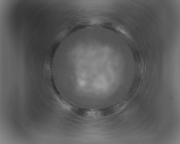 X0000075410415200609151852