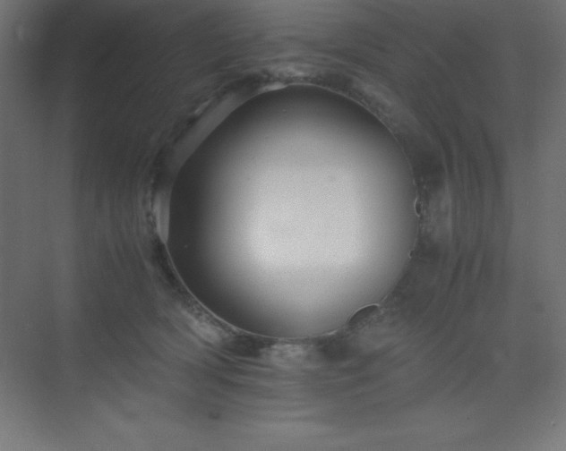 X0000075410418200609151852