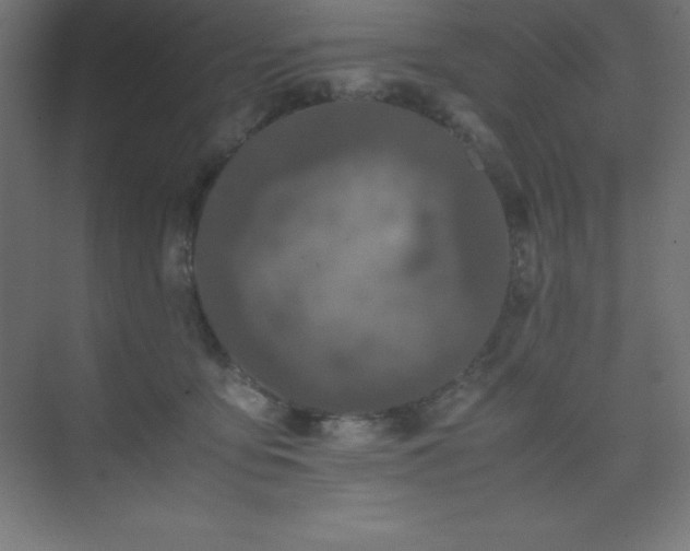 X0000075410419200609151852