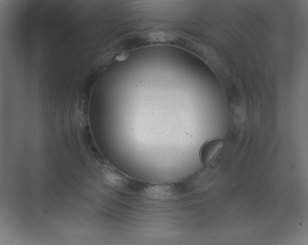 X0000075410422200609151852