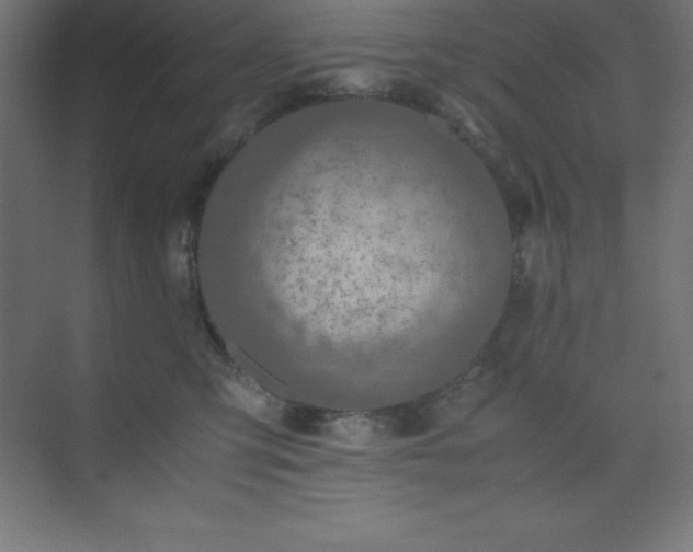 X0000075410423200609151852