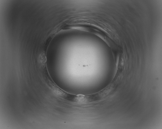 X0000075410425200609151852